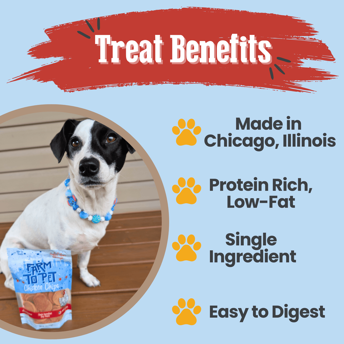 Product benefits graphic for Farm To Pet Chicago Chicken Chips