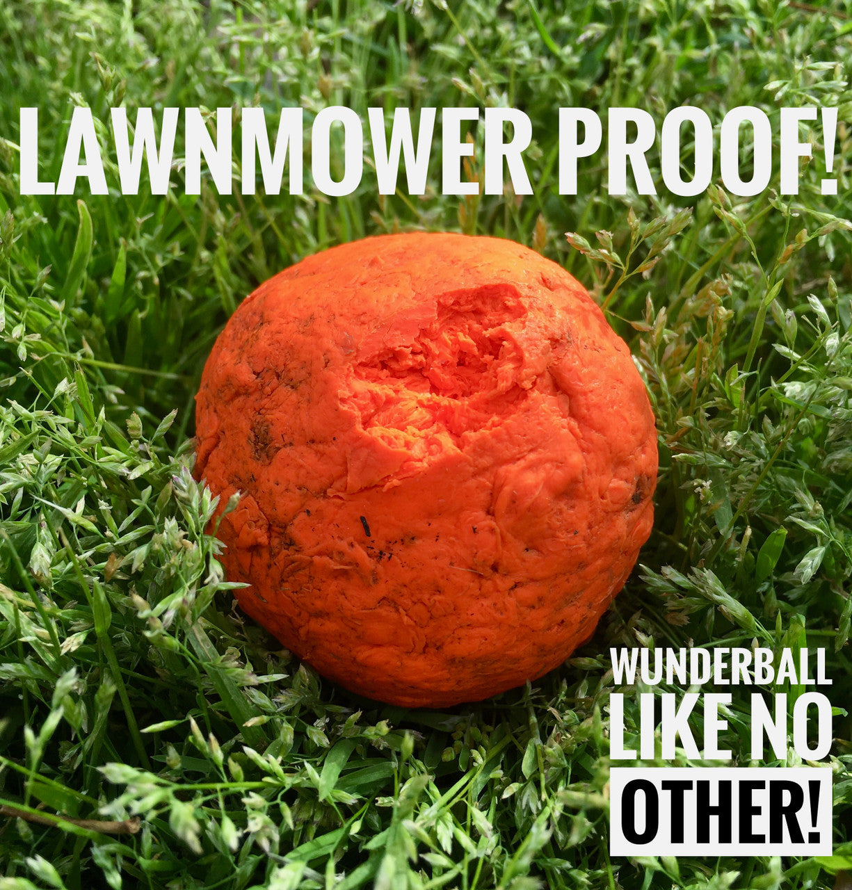 WUNDERball - Natural Rubber Fetch Toy