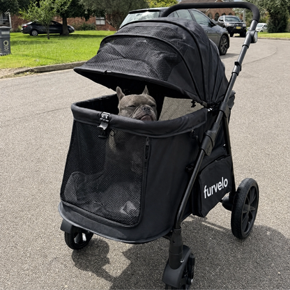 French bulldog riding in a black Furvelo Wagon pet stroller outdoors