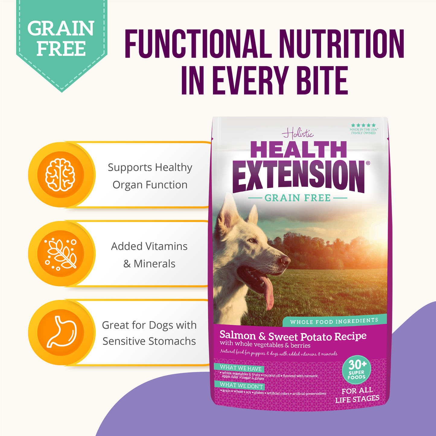 Functional nutrition benefits of Grain-Free Salmon & Sweet Potato Recipe