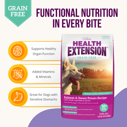 Functional nutrition benefits of Grain-Free Salmon & Sweet Potato Recipe
