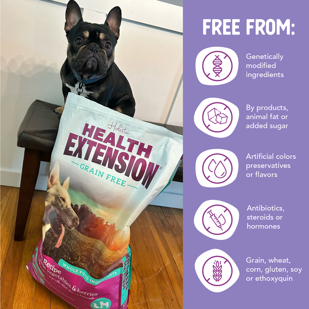Pet eating Grain-Free Salmon & Sweet Potato Recipe