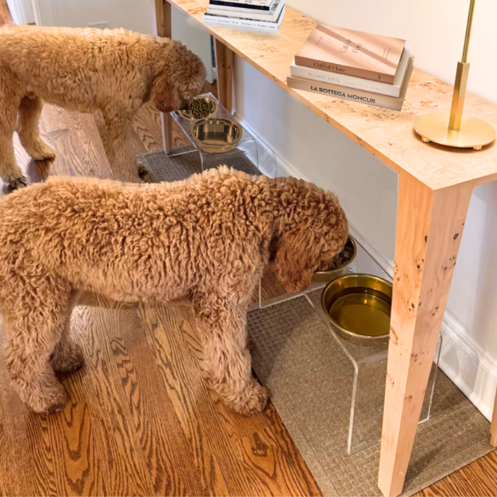 Two dogs eating from the tall clear double gold feeder