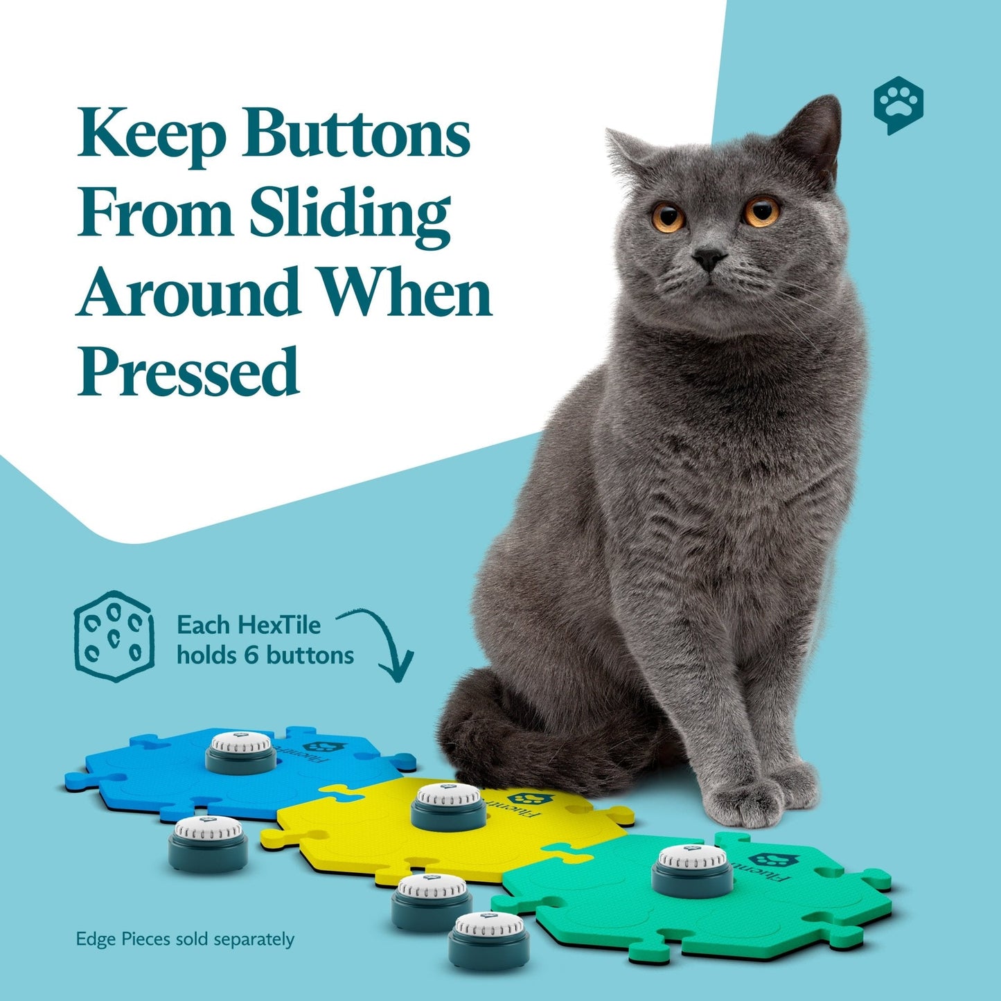 Get Started Kit - Bold