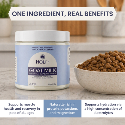 Powdered Goat Milk for Dogs & Cats