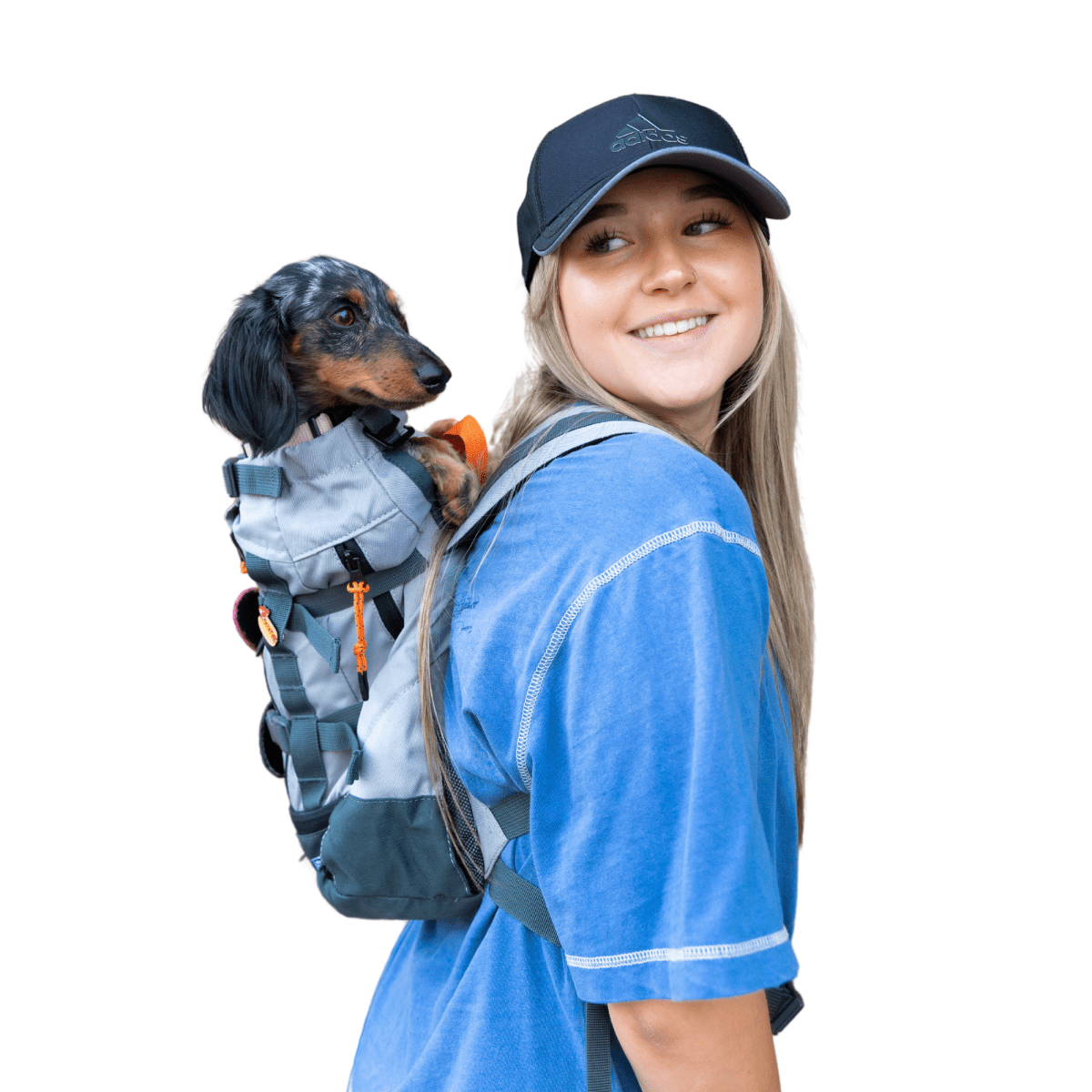 Concrete K9 Sport Sack Urban 3 dog carrier backpack