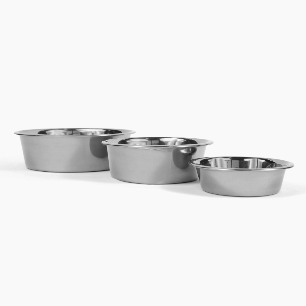 Metal Pet Bowls - Set of 2