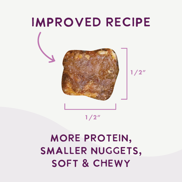 Air-Dried Superfoods Beef Recipe