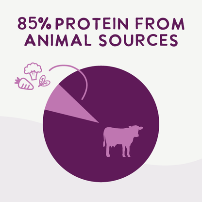 Air-Dried Superfoods Beef Recipe