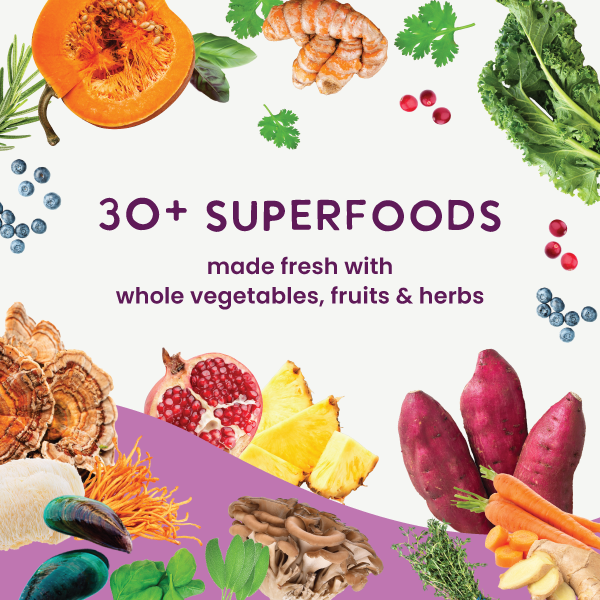Air-Dried Superfoods Beef Recipe