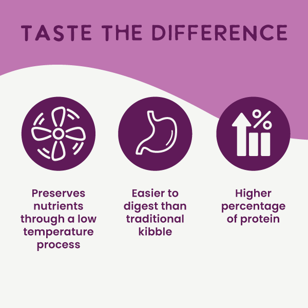 Air-Dried Superfoods Beef Recipe