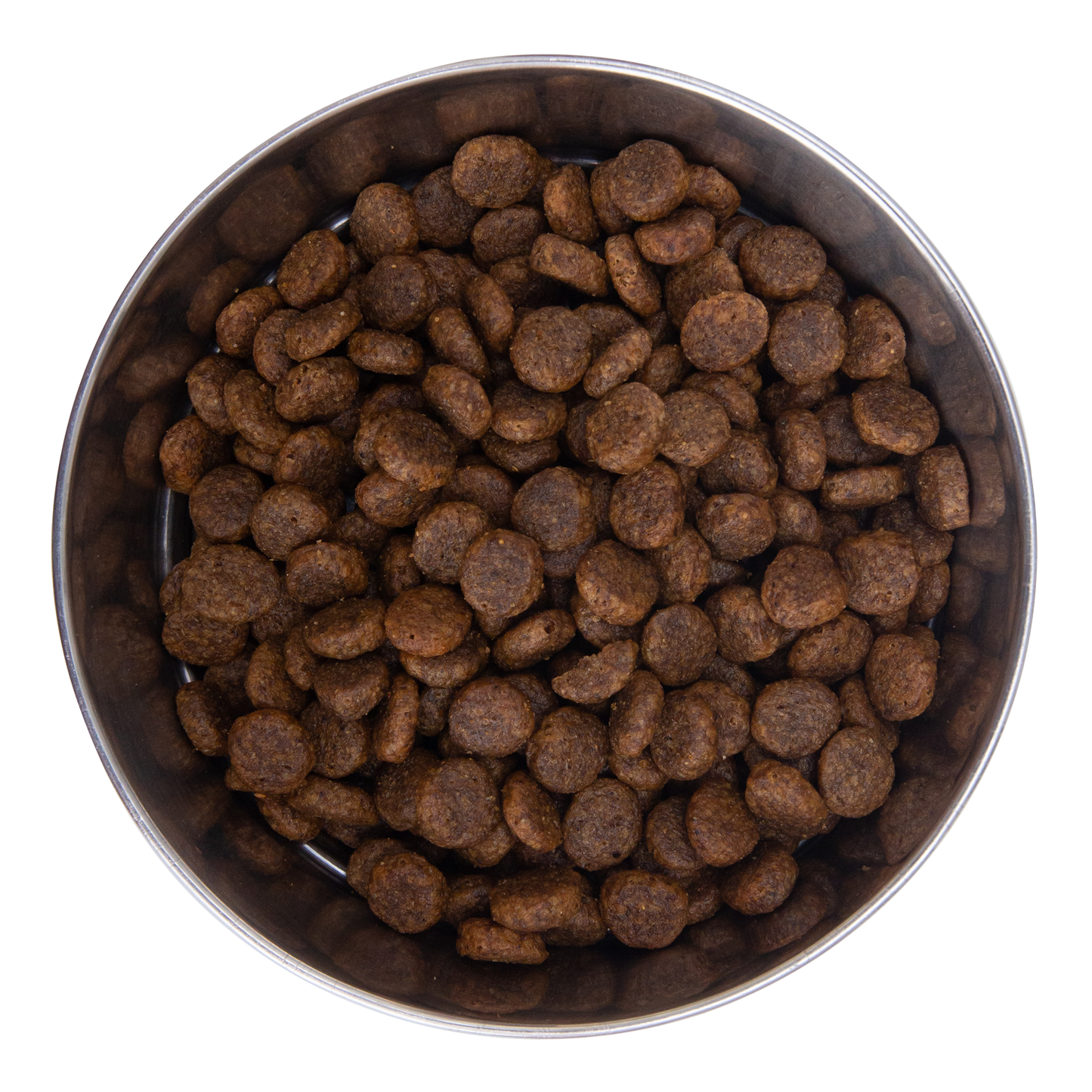 Kibble size comparison with a coin
