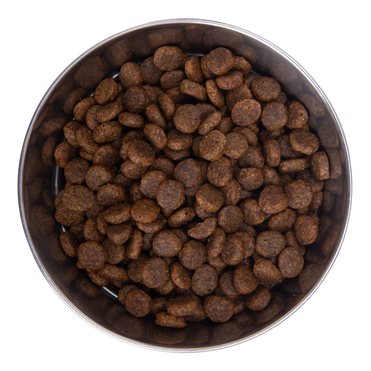Kibble size comparison with a coin