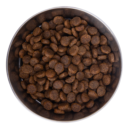 Kibble size comparison with a coin