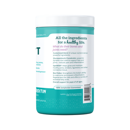 Hip + Joint Mobility Supplement