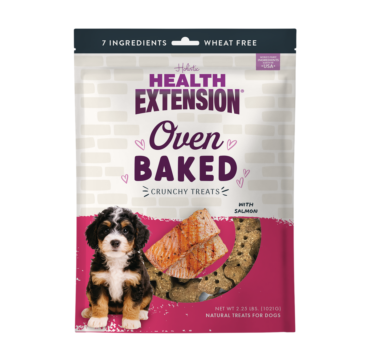 Front view of Oven Baked Salmon Treats by Health Extension