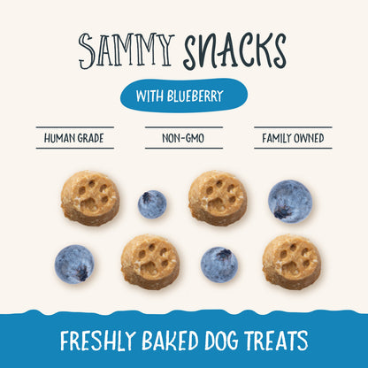 Health Extension Sammy Snacks blueberry dog treats product view