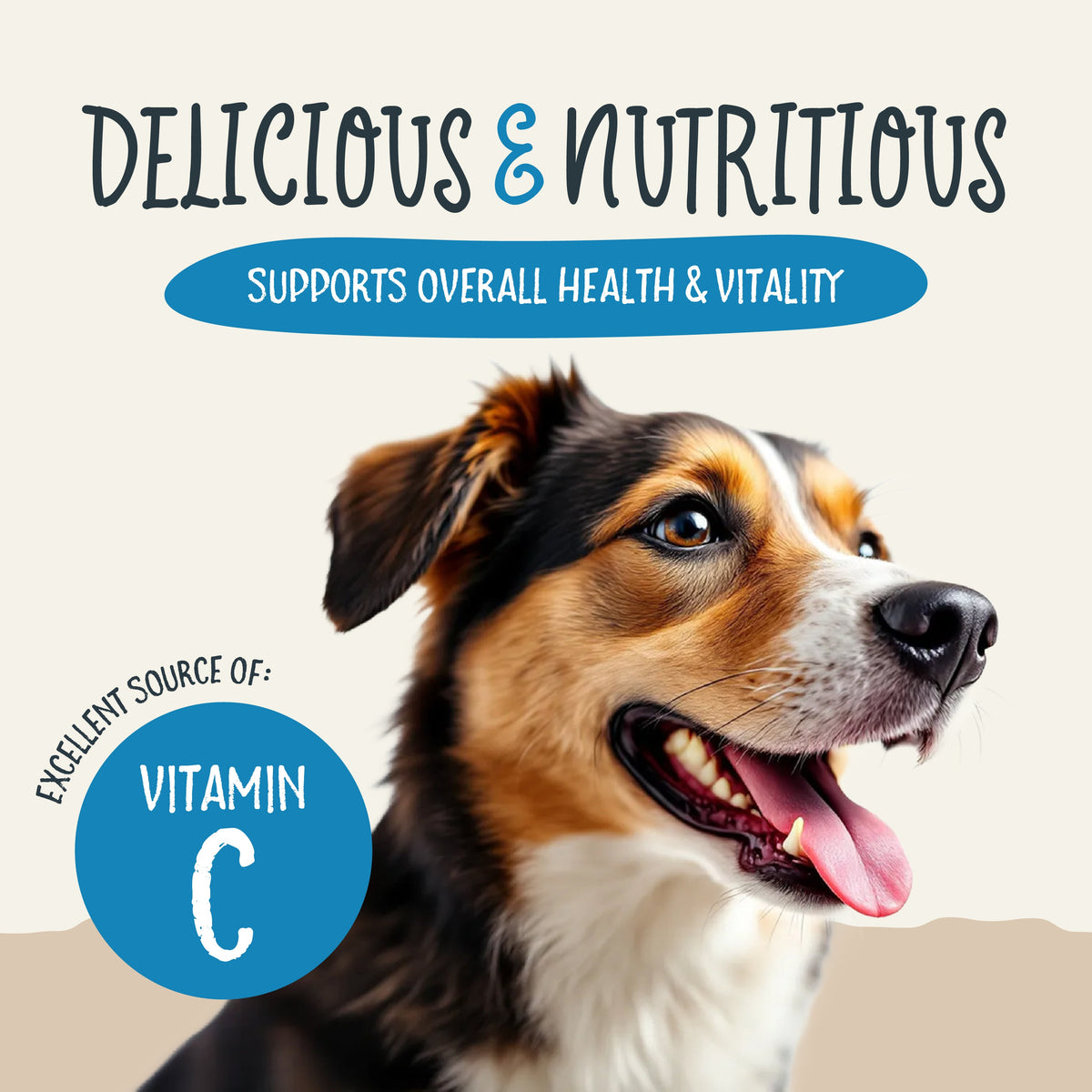 Health Extension blueberry Sammy Snacks feature graphic