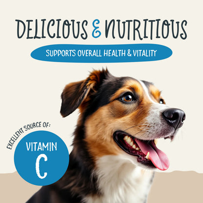 Health Extension blueberry Sammy Snacks feature graphic