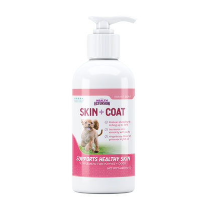 Healthy Skin & Vibrant Coat Supplement