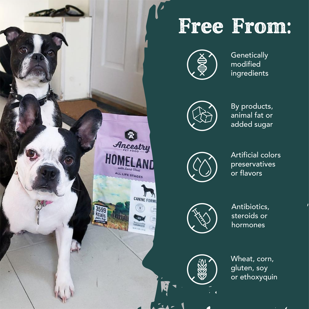 Health Extension Homeland with Lamb Meal dog food product details graphic