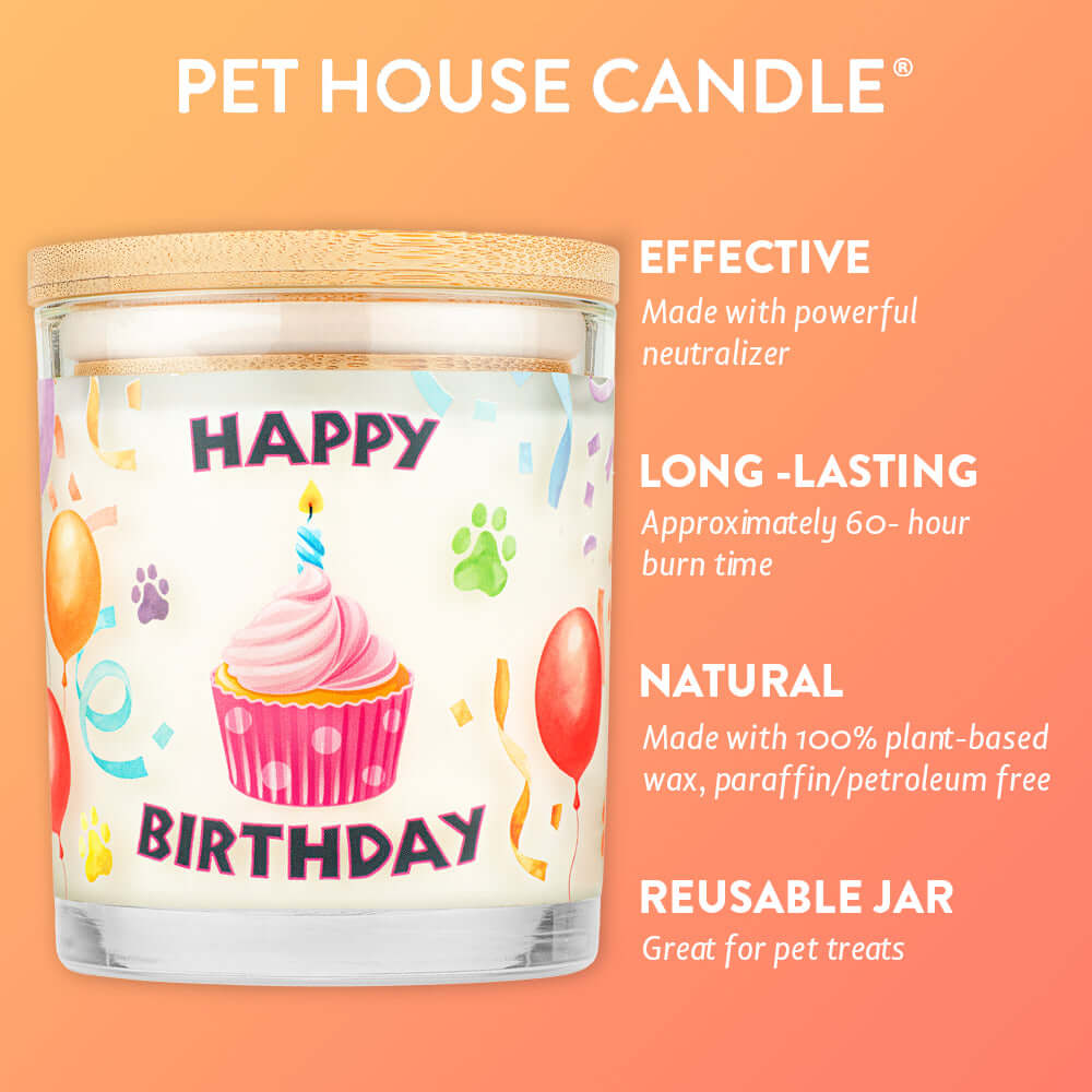 Happy Birthday Candle lifestyle view