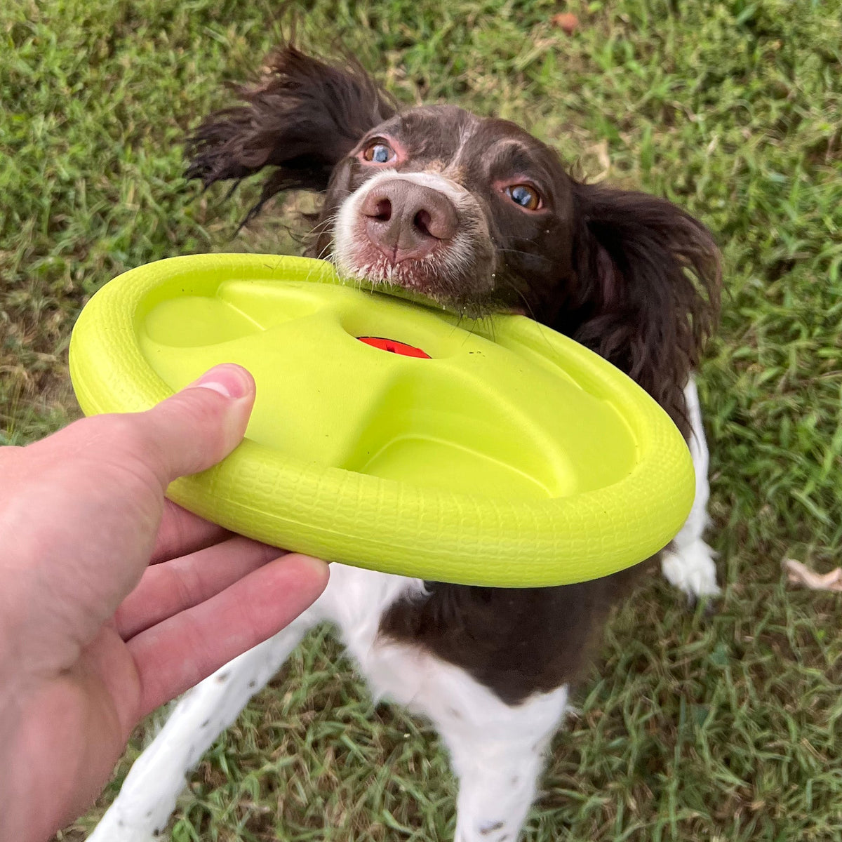 Alpha Pak Harley Flyer Frisbee - alternate lifestyle view