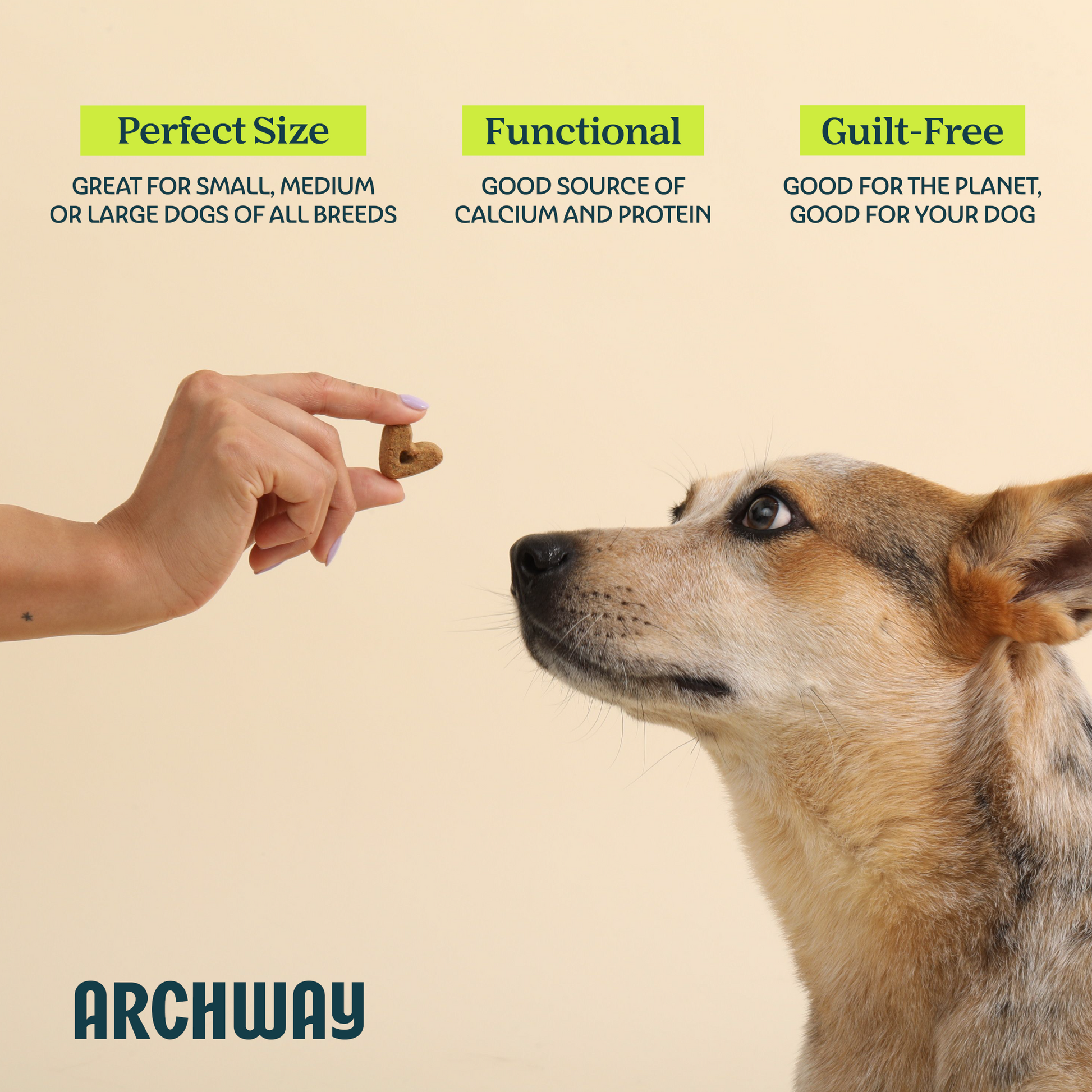 Archway Hip & Joint Health product information