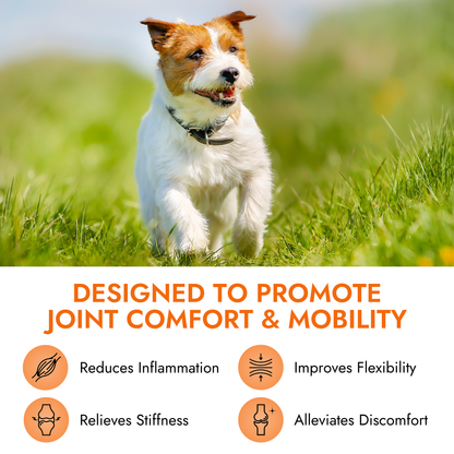 Pet Vet Products® Hip & Joint Soft Chews for Dogs - 60 Count product feature image 4 of 6