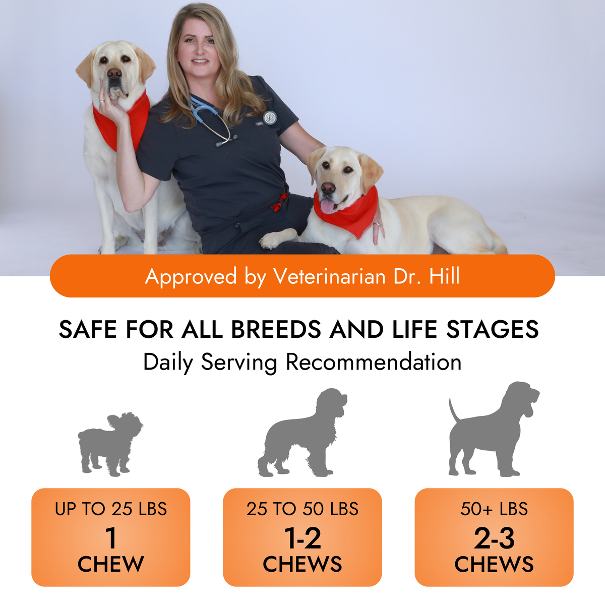 Pet Vet Products® Hip & Joint Soft Chews for Dogs - 60 Count product feature image 5 of 6
