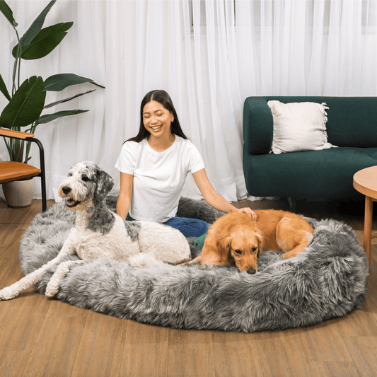 PupCloud human-size faux fur memory foam dog bed in charcoal grey