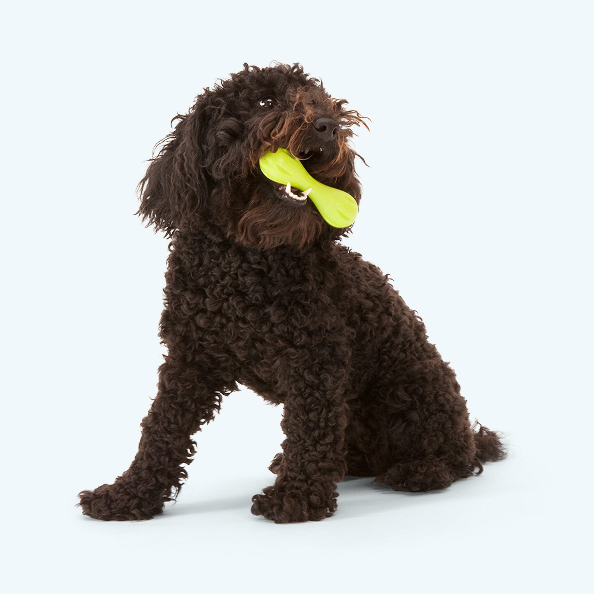 Additional view of the West Paw Hurley dog toy