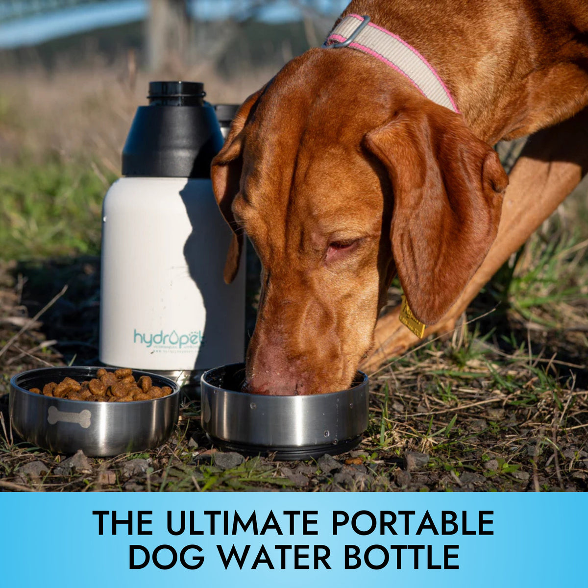 Detalle de viaje de HydroPet® Botella portátil de agua para perros - 32 oz