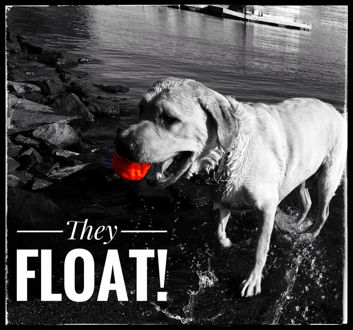 WUNDERball - Natural Rubber Fetch Toy