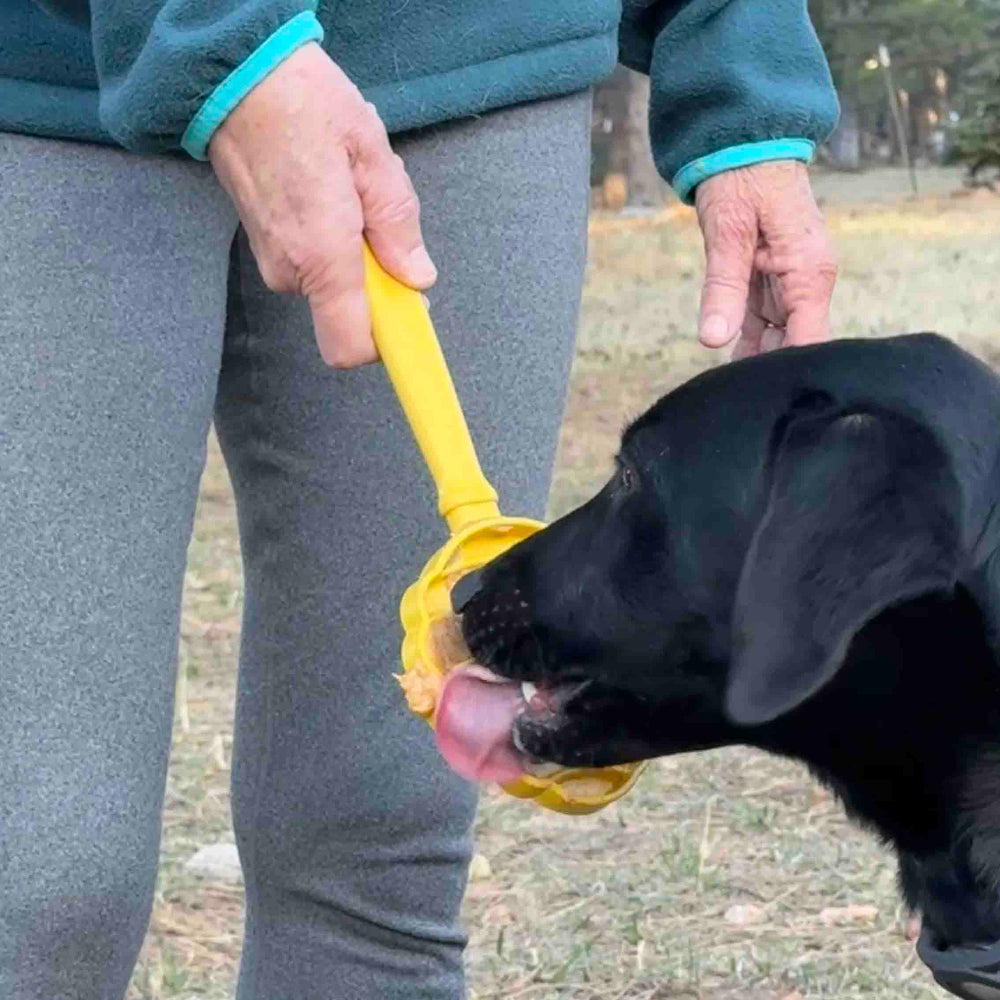 SodaPup eStick handheld enrichment toy in use