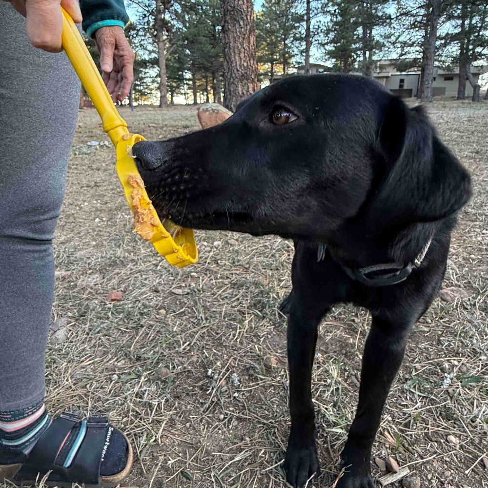 SodaPup eStick handheld enrichment toy in use