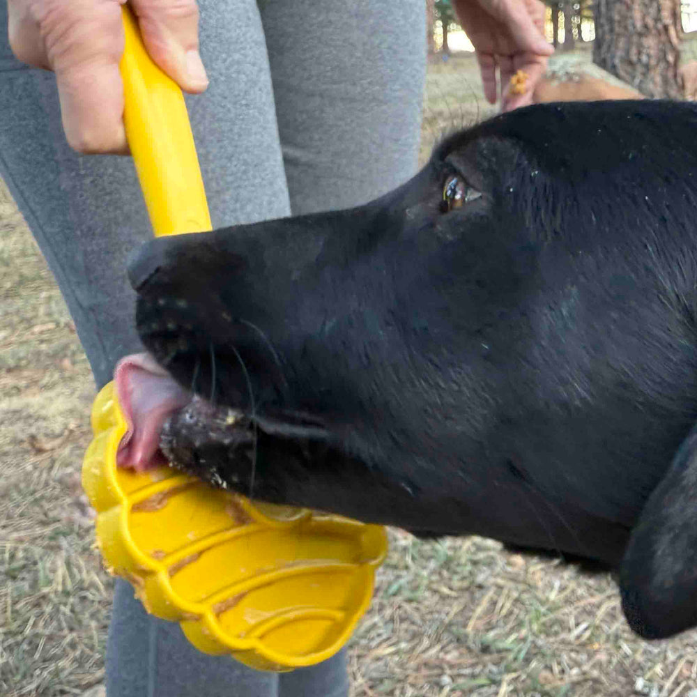 SodaPup eStick handheld enrichment toy in use