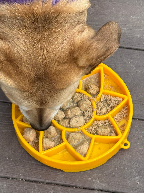 Shallow Slow-Feeder Dog Bowl - Sunflower