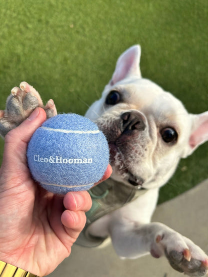 Cleo&Hooman dog tennis balls shown for fetch play