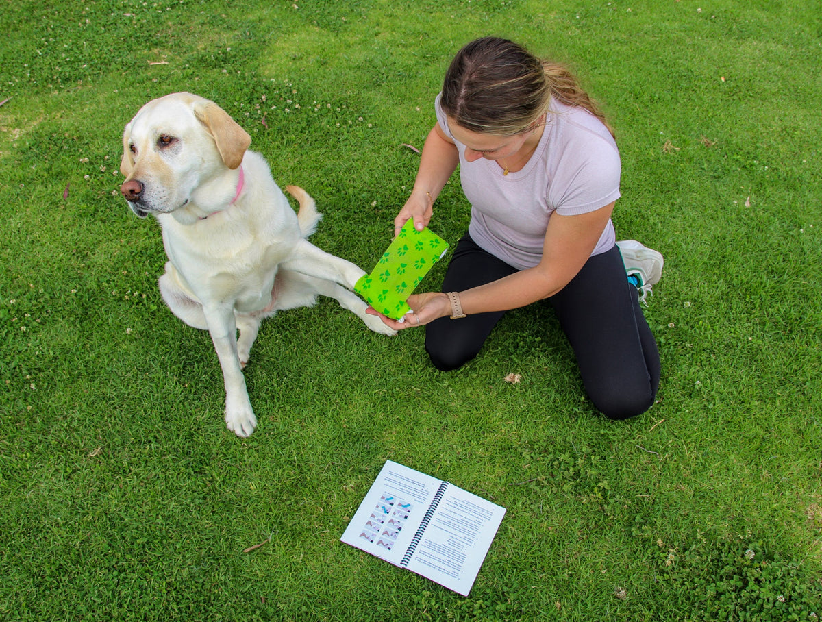 Imagen de características de PetVet Medic® Kit grande de primeros auxilios para mascotas - 120+ piezas, 9 de 10