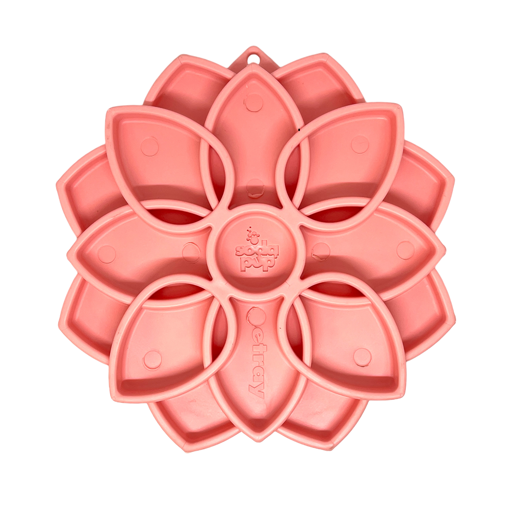Shallow Slow-Feeder Dog Bowl - Mandala