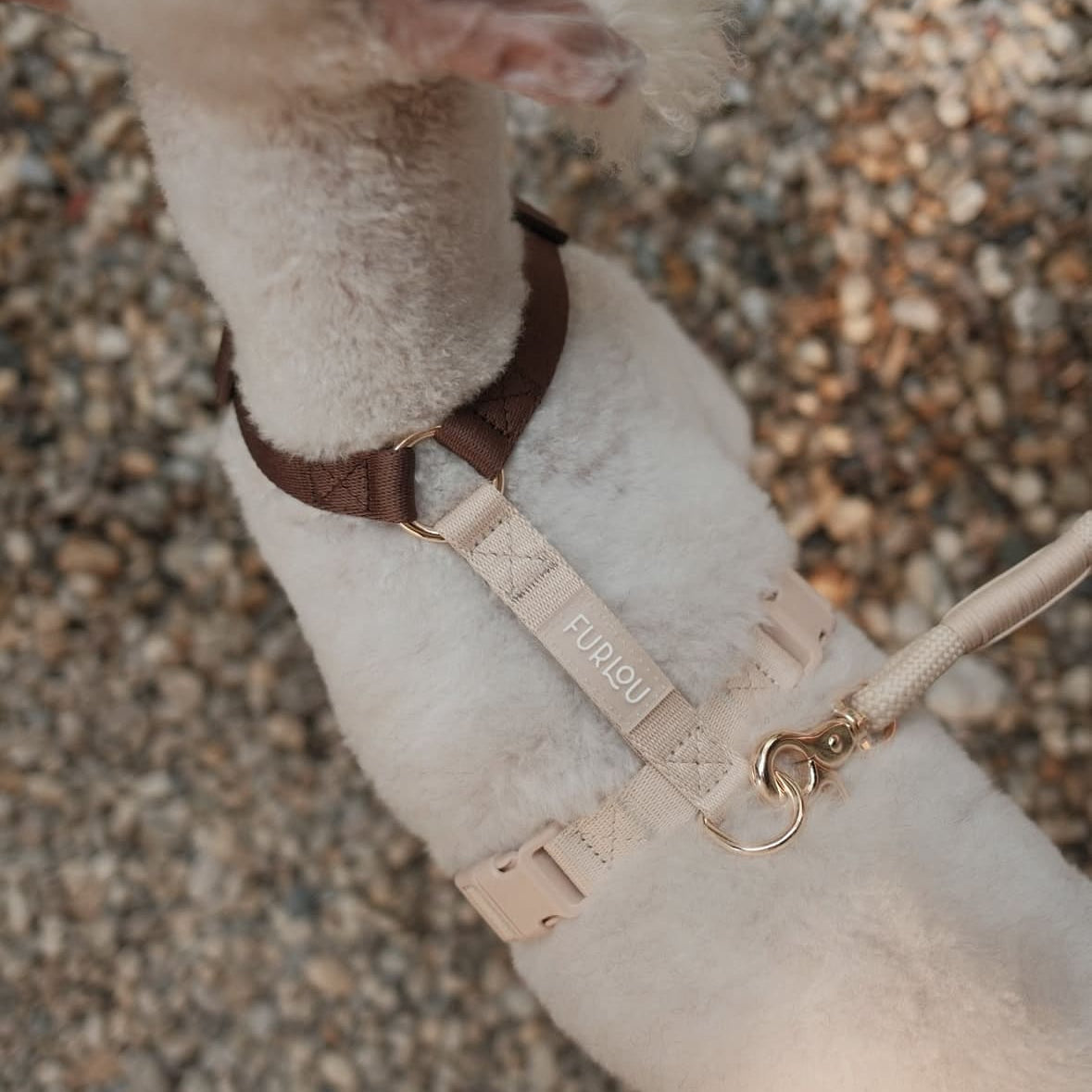 Dog wearing the FURLOU Dog Harness - Brown & Tan