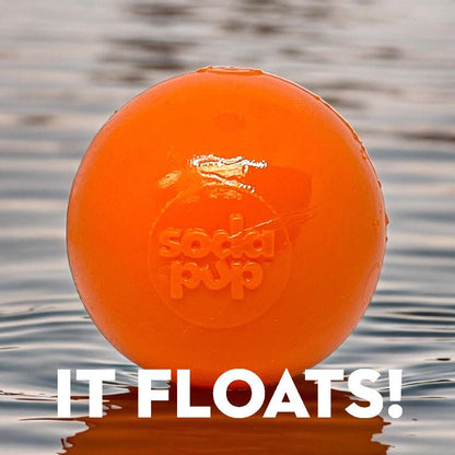 Ultra-Durable Squeak Ball