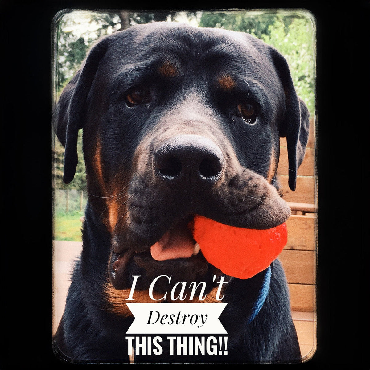 WUNDERball - Natural Rubber Fetch Toy