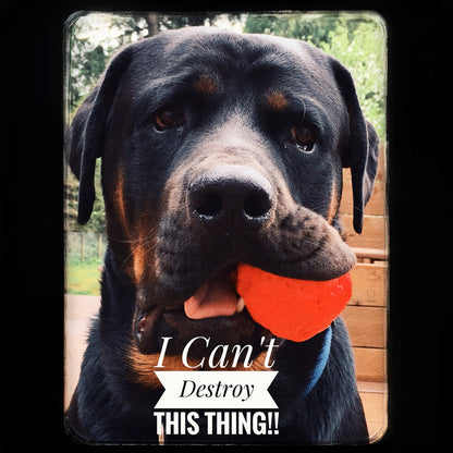 WUNDERball - Natural Rubber Fetch Toy