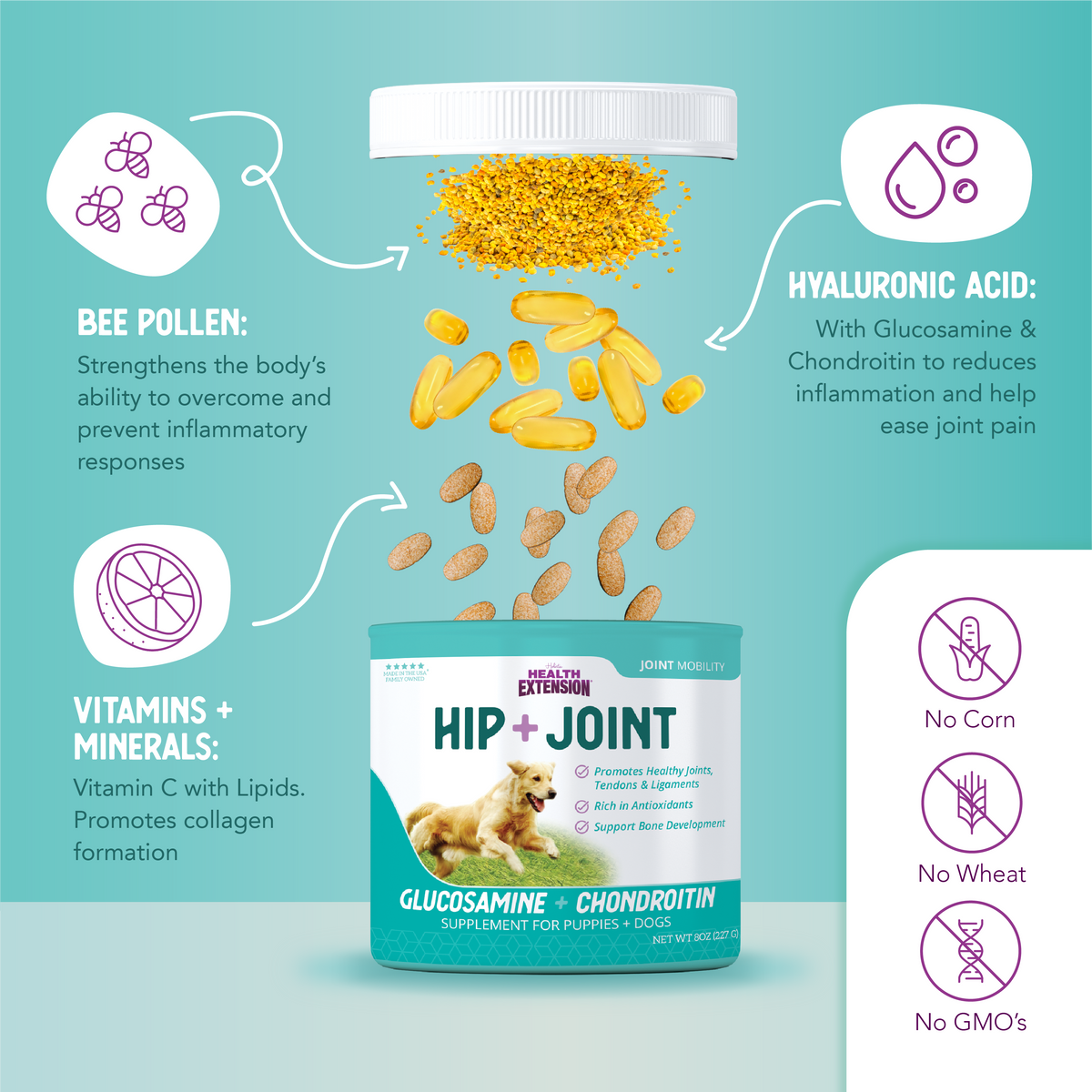Hip + Joint Mobility Supplement