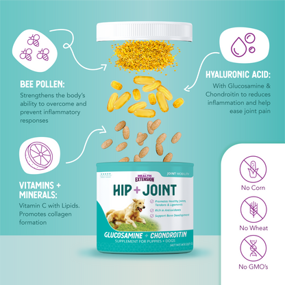 Hip + Joint Mobility Supplement