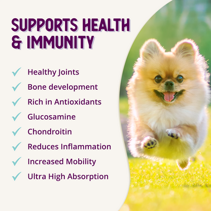 Hip + Joint Mobility Supplement