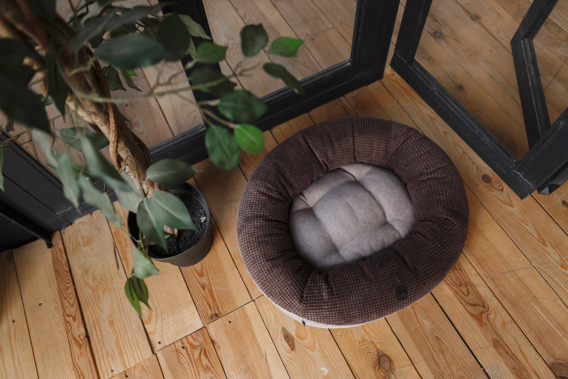 Pet bed on a wooden floor with a plant in the background