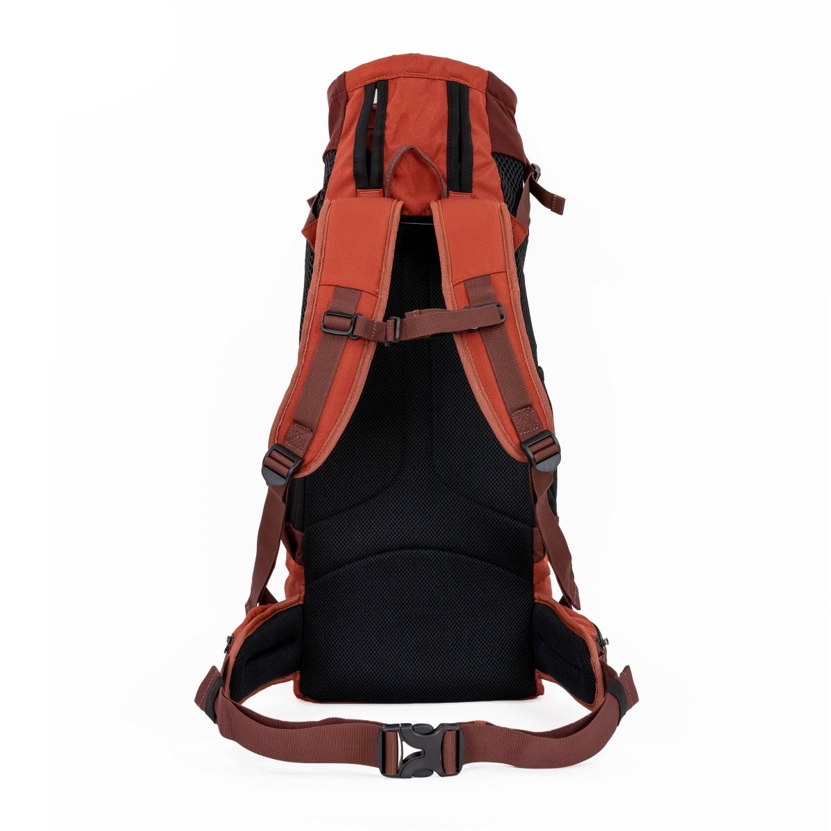 Additional view of the Dune Red K9 Sport Sack Knavigate dog carrier backpack